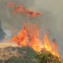 PROPERTY SALES IN THE VHFHSZ (AB38)