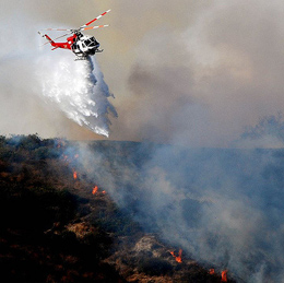 2024 Owner Notification Mailer