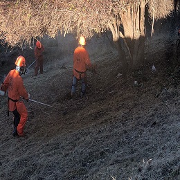 Restrictions On Use Of Certain Metal Cutting Blades