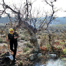 HOMELESS ENCAMPMENT SURVEY FACT-SHEET