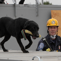 Urban Search & Rescue