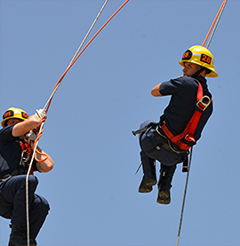 Professional Standards